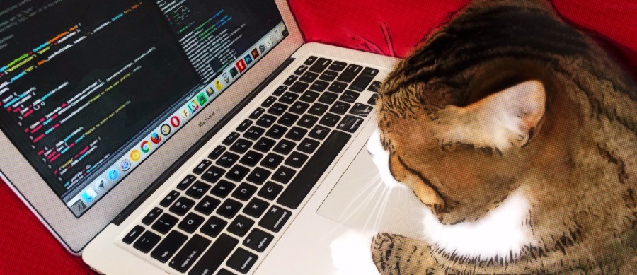 Jamie the cat software engineer