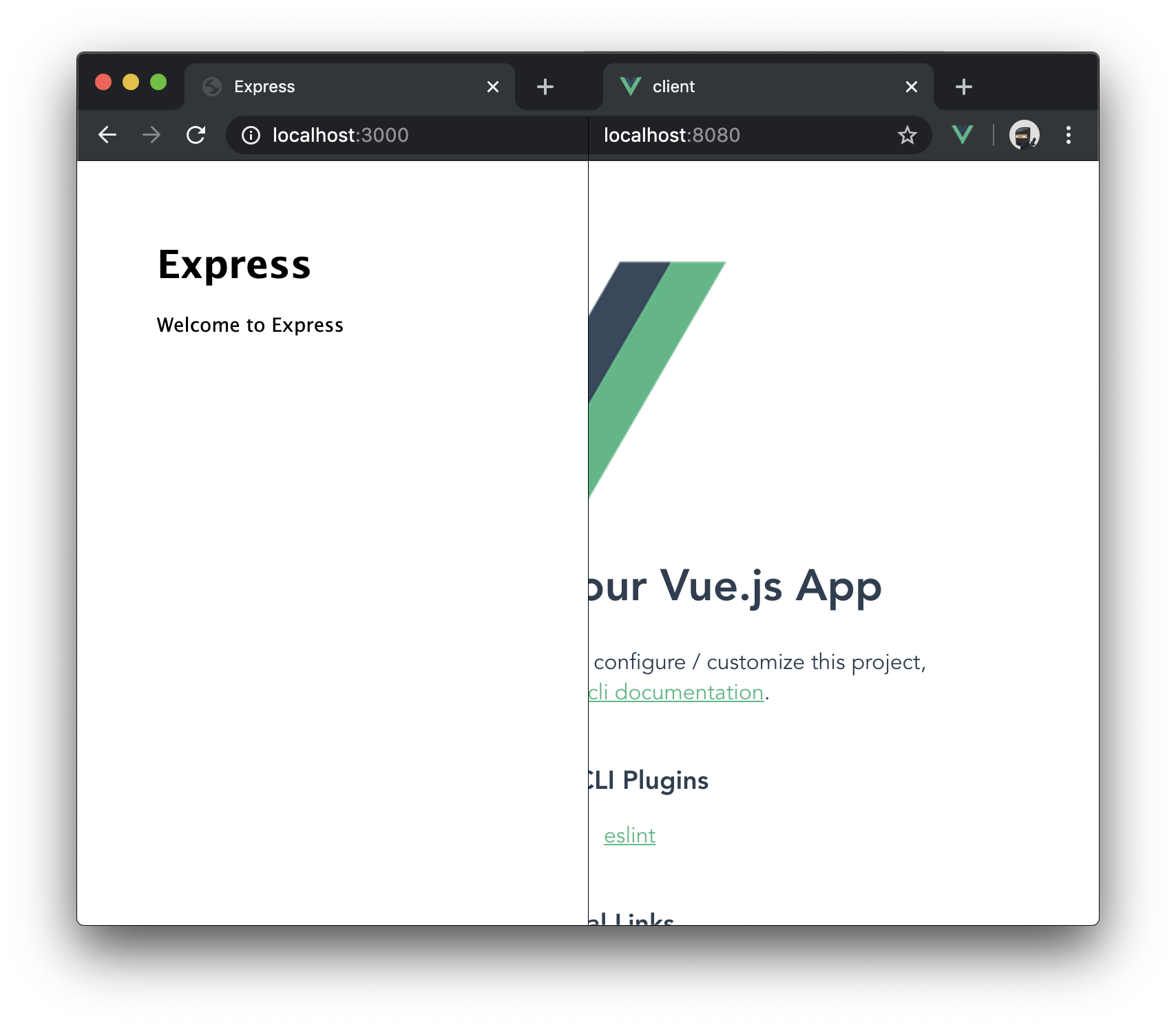 Screenshot of a Express.js and Vue.js running concurrently